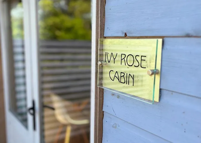 Ivy Rose Cabin No Hot Tub